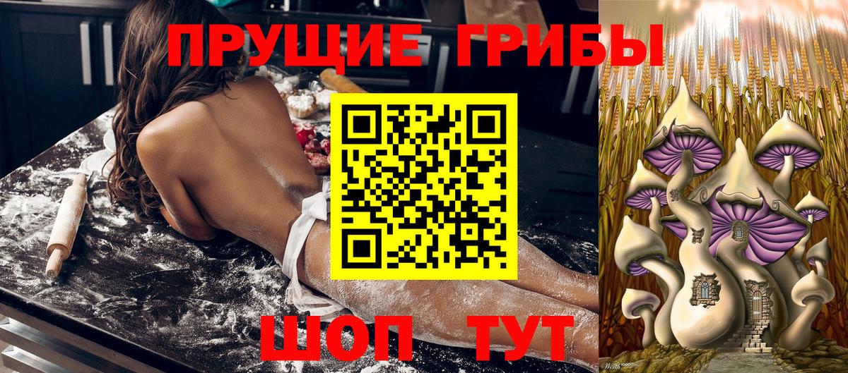 Галлюциногенные грибы прущие грибы  Псилоцибиновые грибы Psilocybe  Красноперекопск  Вход с VPN 